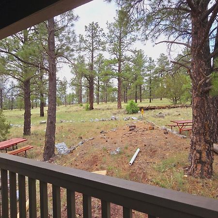 Cozy Cabin By Forest View 4B ويليامز المظهر الخارجي الصورة