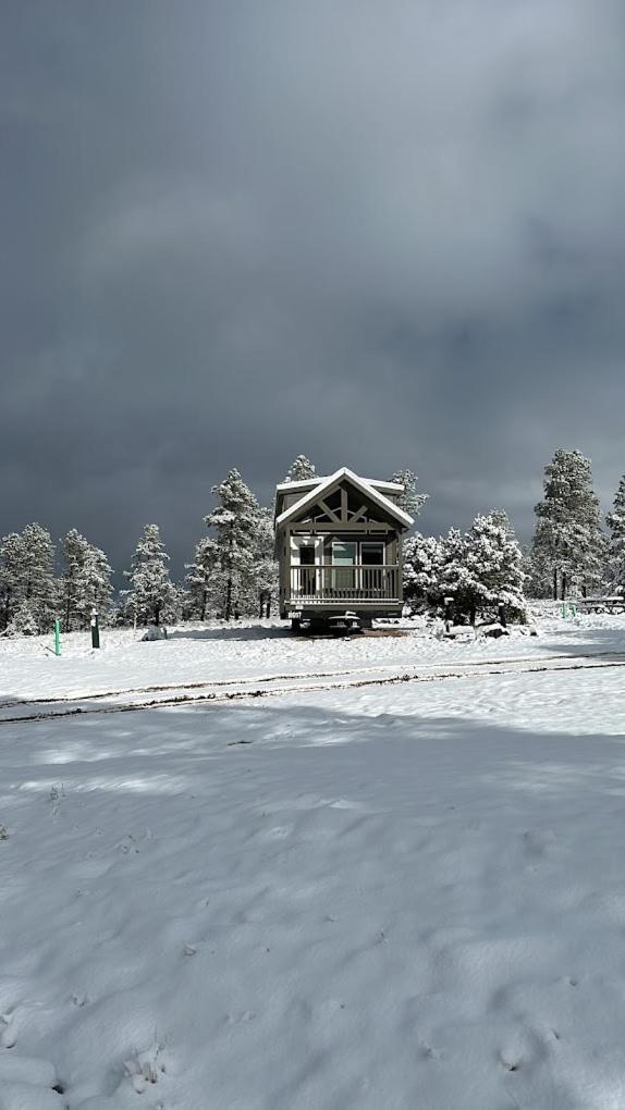 Cozy Cabin By Forest View 4B ويليامز المظهر الخارجي الصورة