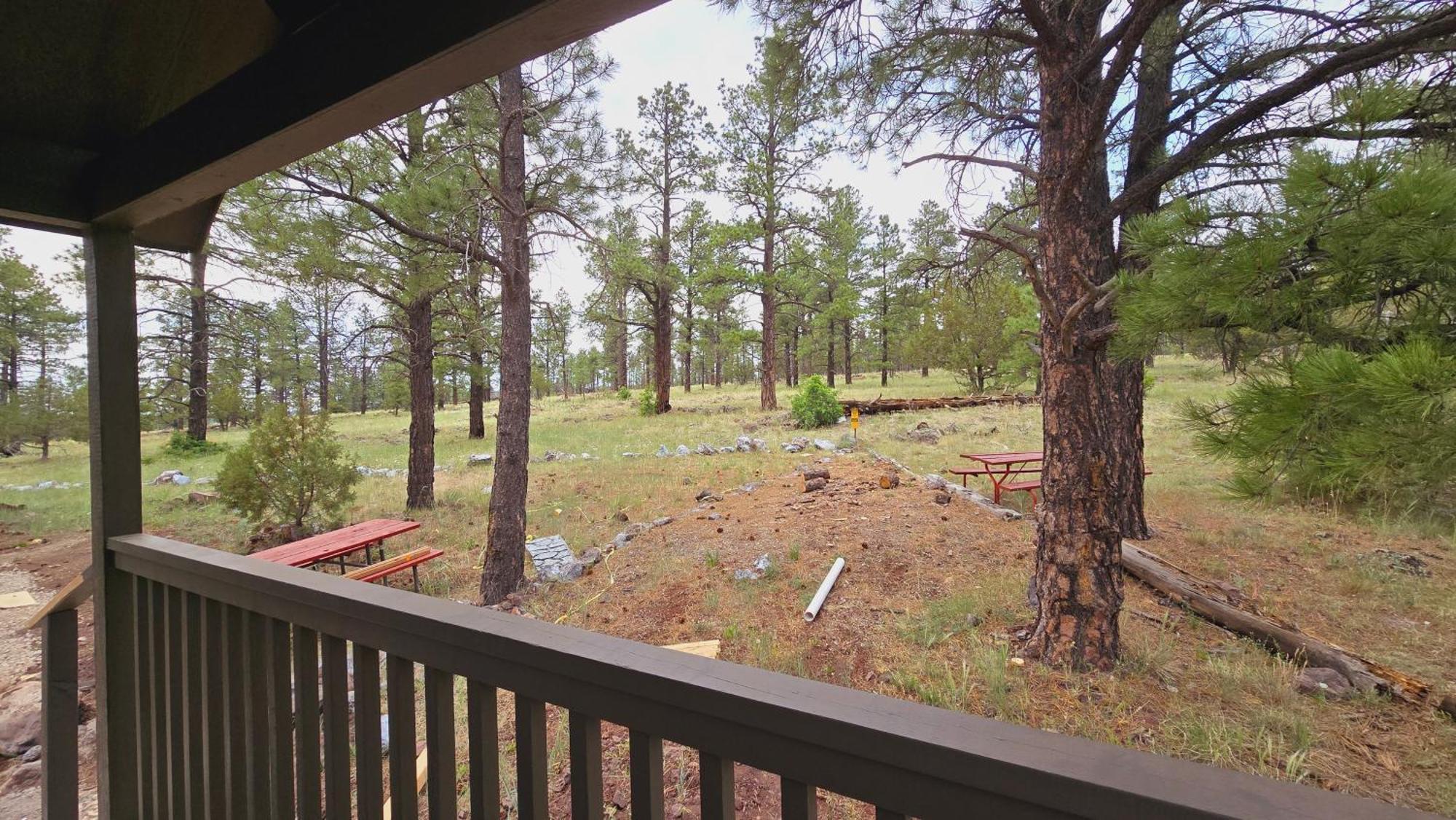 Cozy Cabin By Forest View 4B ويليامز المظهر الخارجي الصورة